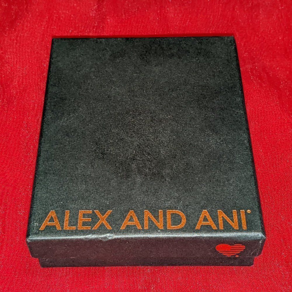 Alex and Ani Box💥PRICE DROP💥